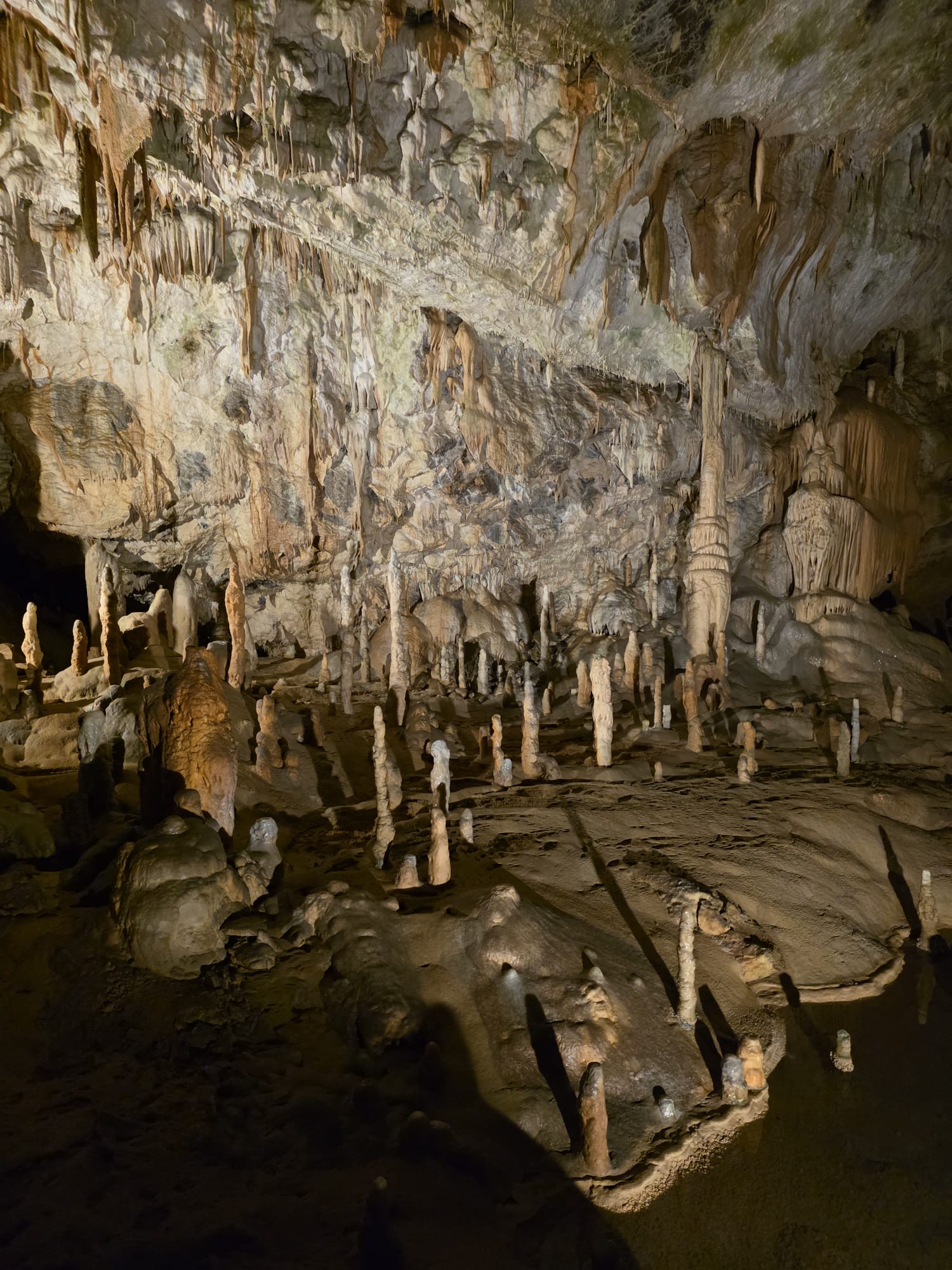 IMG 20250819 WA0047 IMG 20250819 WA0047